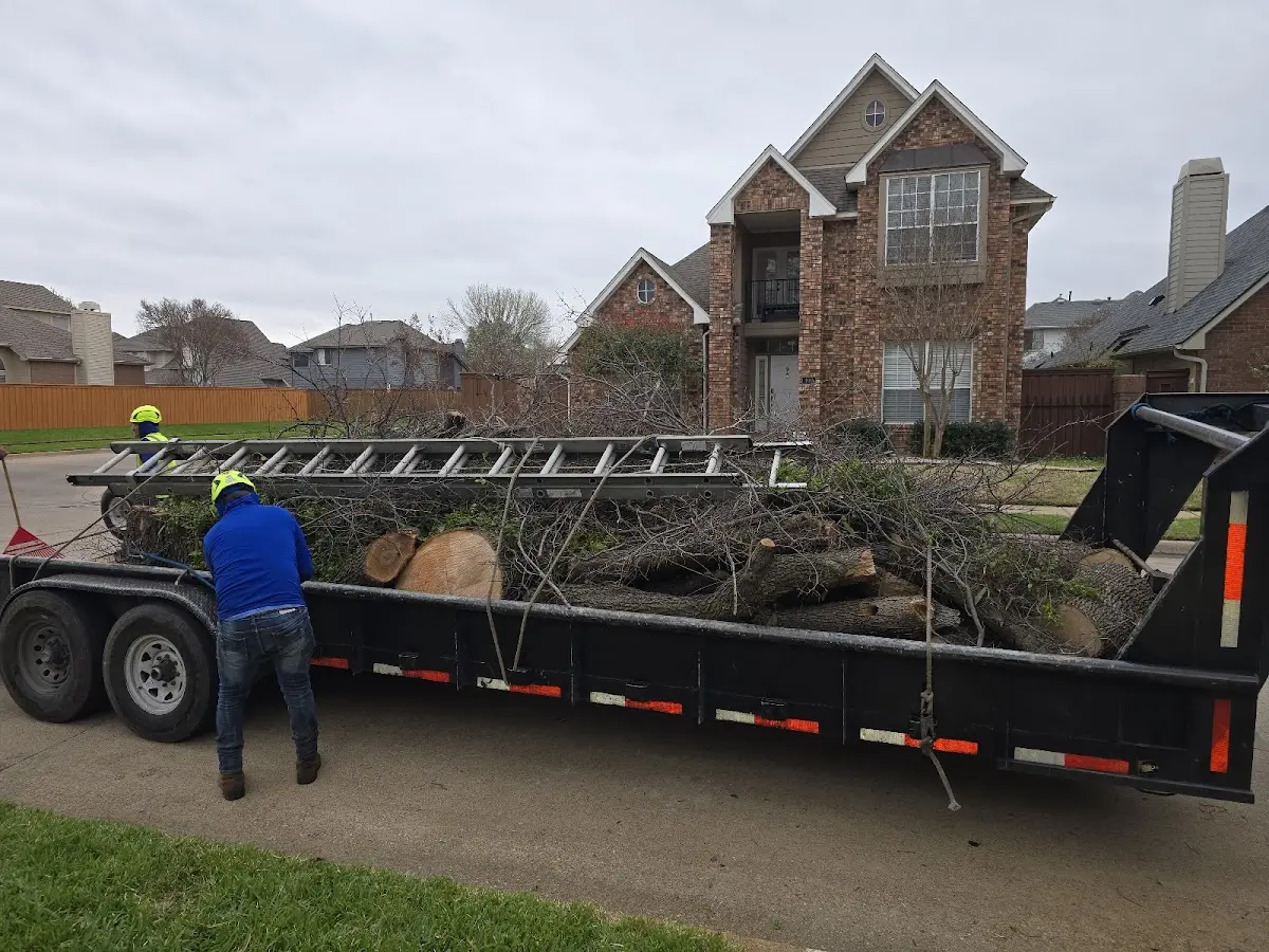 Expert Lot Clearing with proper safety equipment in Arcadia